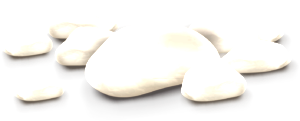 traszkovilagos